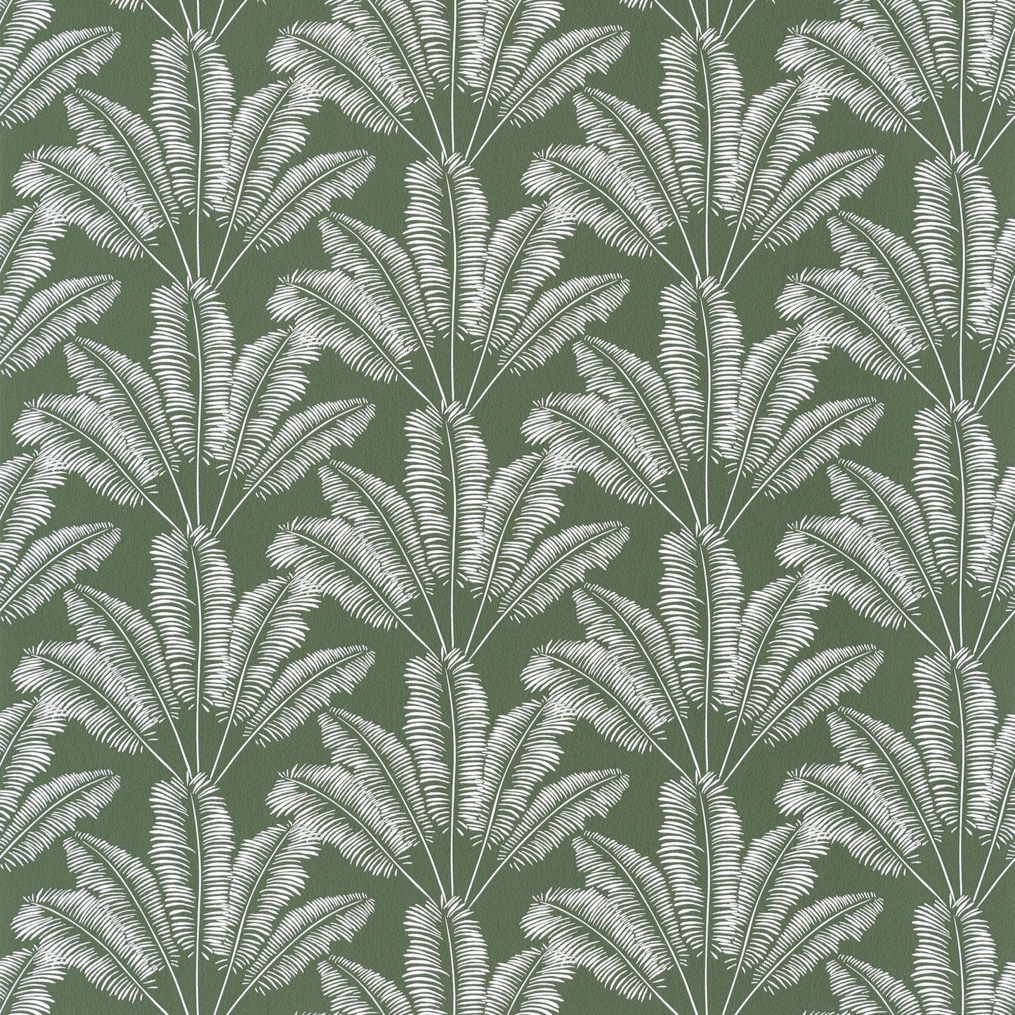 Our Planet Savannah Wallpaper - Vert Kaki - Caselio - 101947408 - Premier Wallcovering
