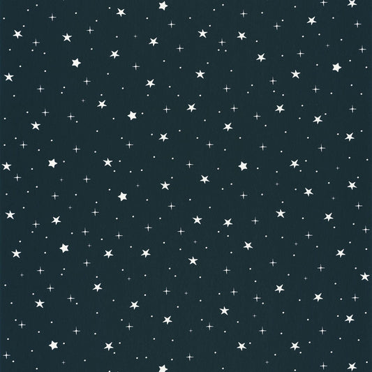Our Planet Stars In Your Eyes Wallpaper - Bleu Nuit - Caselio - 101926918 - Premier Wallcovering