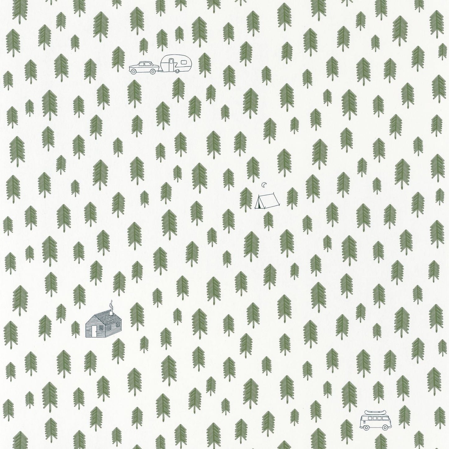 Our Planet Summer Camp Wallpaper - Vert Kaki - Caselio - 101977417 - Premier Wallcovering