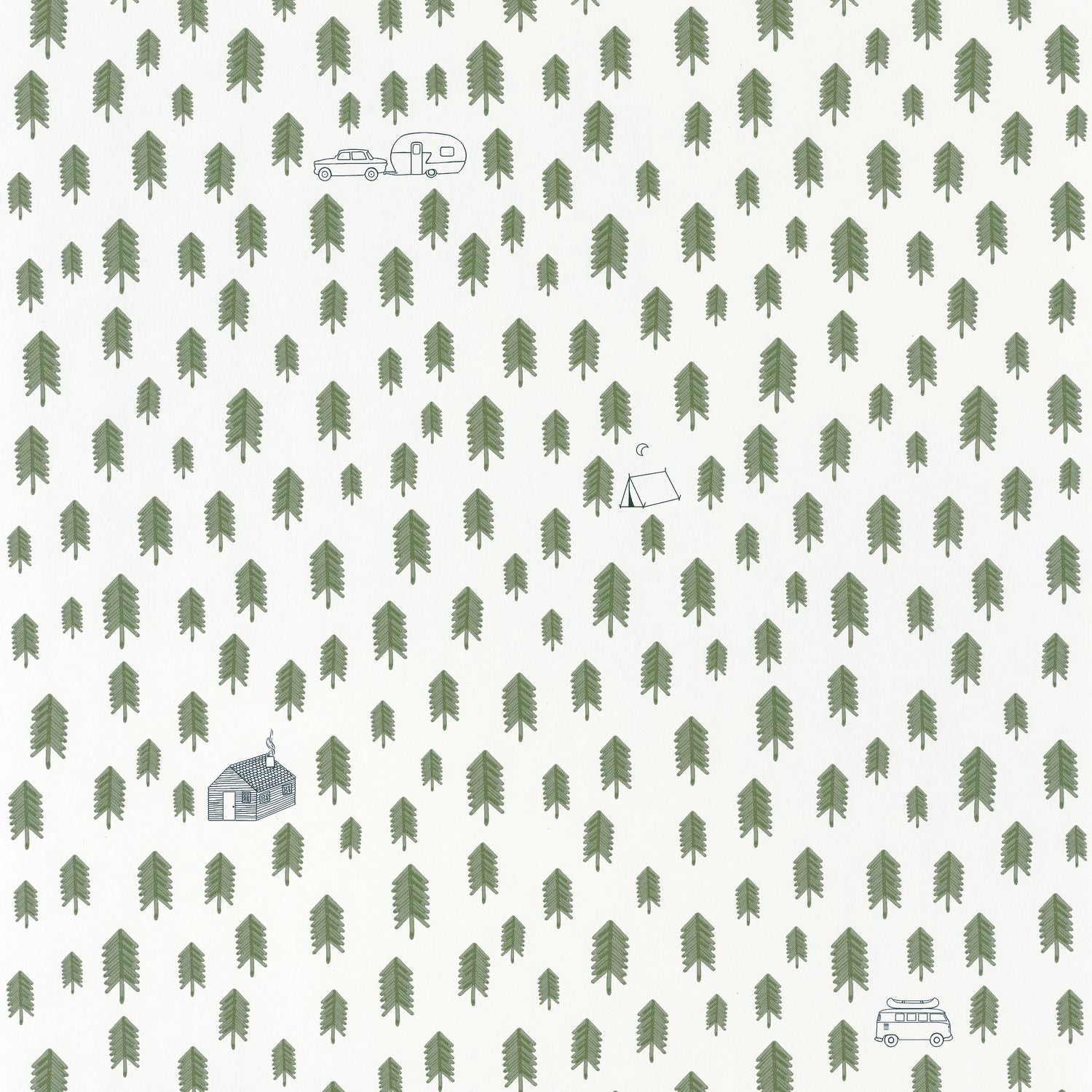 Our Planet Summer Camp Wallpaper - Vert Kaki - Caselio - 101977417 - Premier Wallcovering