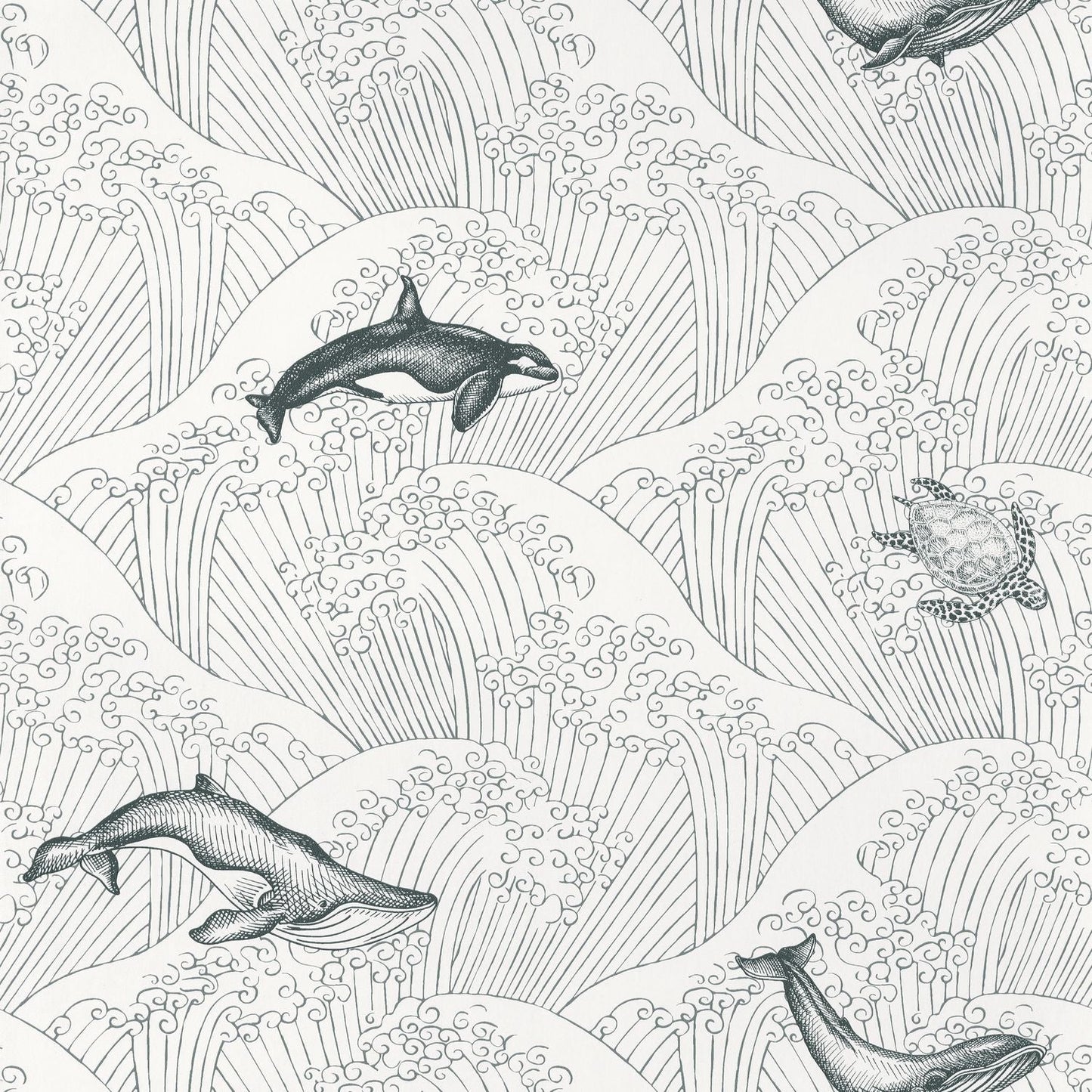 Our Planet Under The Sea Wallpaper - Noir Et Blanc - Caselio - 102019902 - Premier Wallcovering