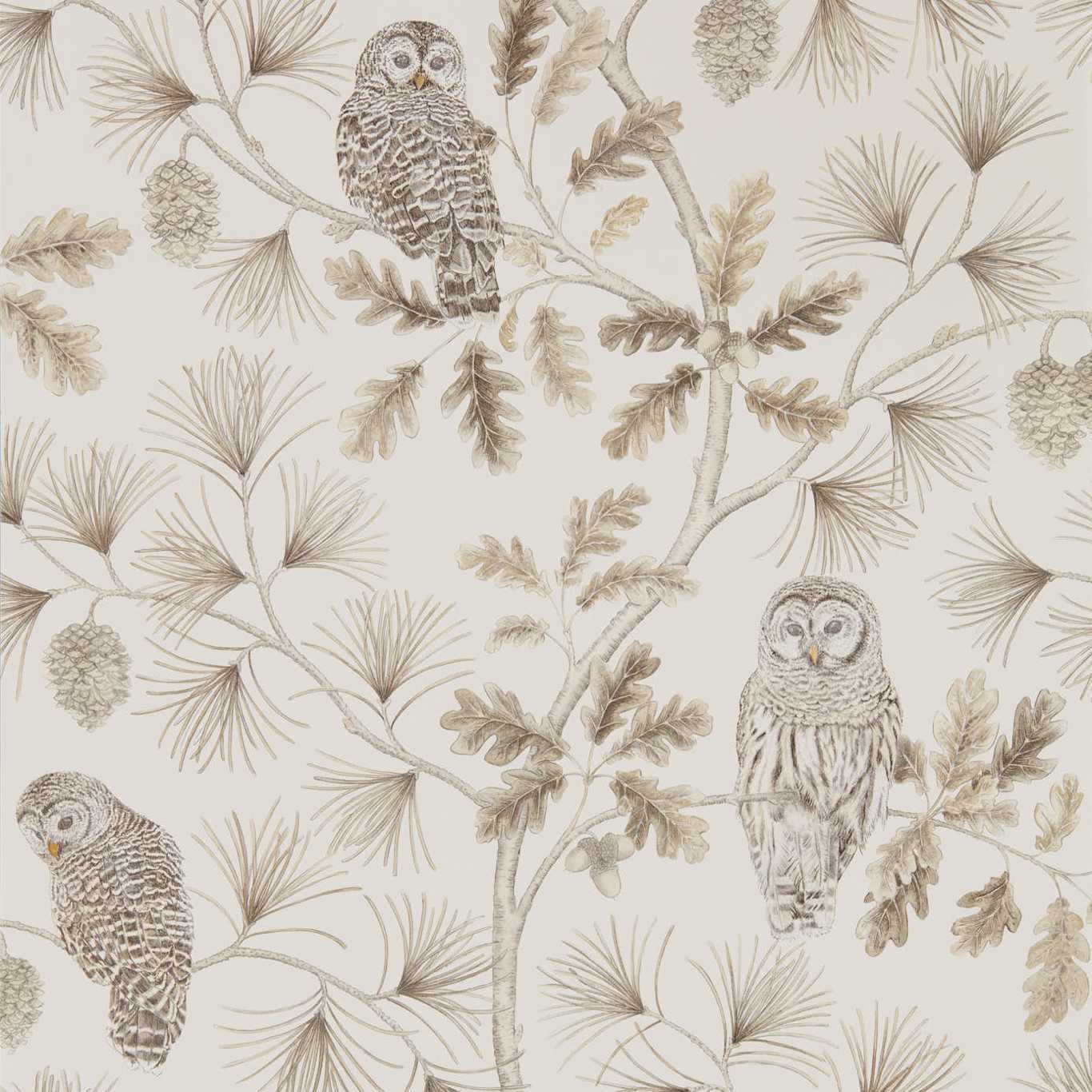 Owlswick Wallpaper - Linen - Sanderson - DYSI216598 - Premier Wallcovering