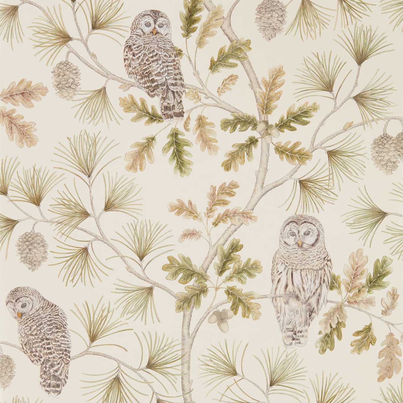 Owlswick Wallpaper - Briarwood - Sanderson - DYSI216597 - Premier Wallcovering