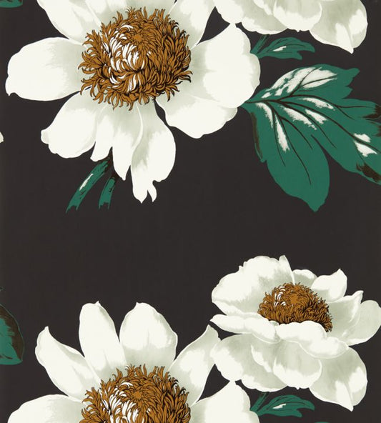 Paeonia Wallpaper - Black Earth/Fig Leaf/ Gold - HQN2112841 - Harlequin - Premier Wallcovering