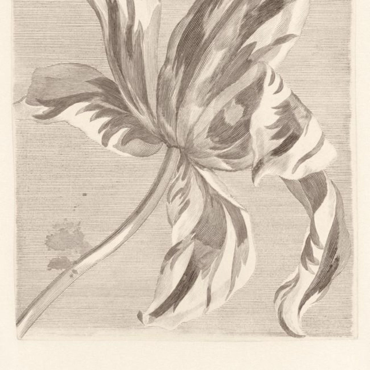 Painterly Masterpiece Mural Wallpaper - Neutral - Eijffinger - 358117 - Premier Wallcovering