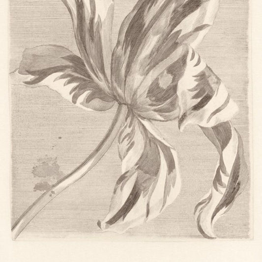 Painterly Masterpiece Mural Wallpaper - Neutral - Eijffinger - 358117 - Premier Wallcovering