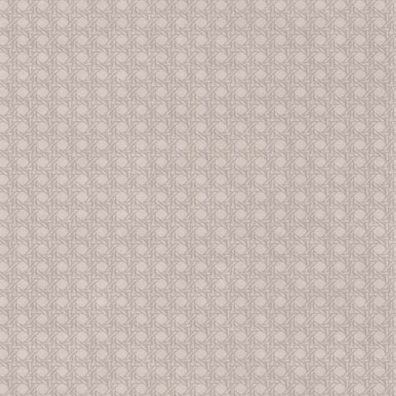 Paja Wallpaper - Taupe - Casadeco - 84341303 - Premier Wallcovering
