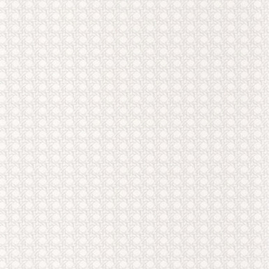 Paja Wallpaper - Blanc - Casadeco - 84340033 - Premier Wallcovering