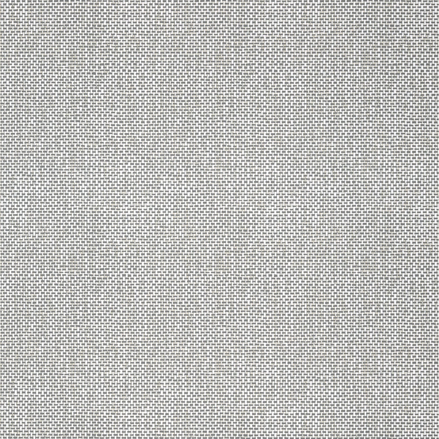 Palawan Wallpaper - Charcoal - Thibaut - T16264 - Premier Wallcovering