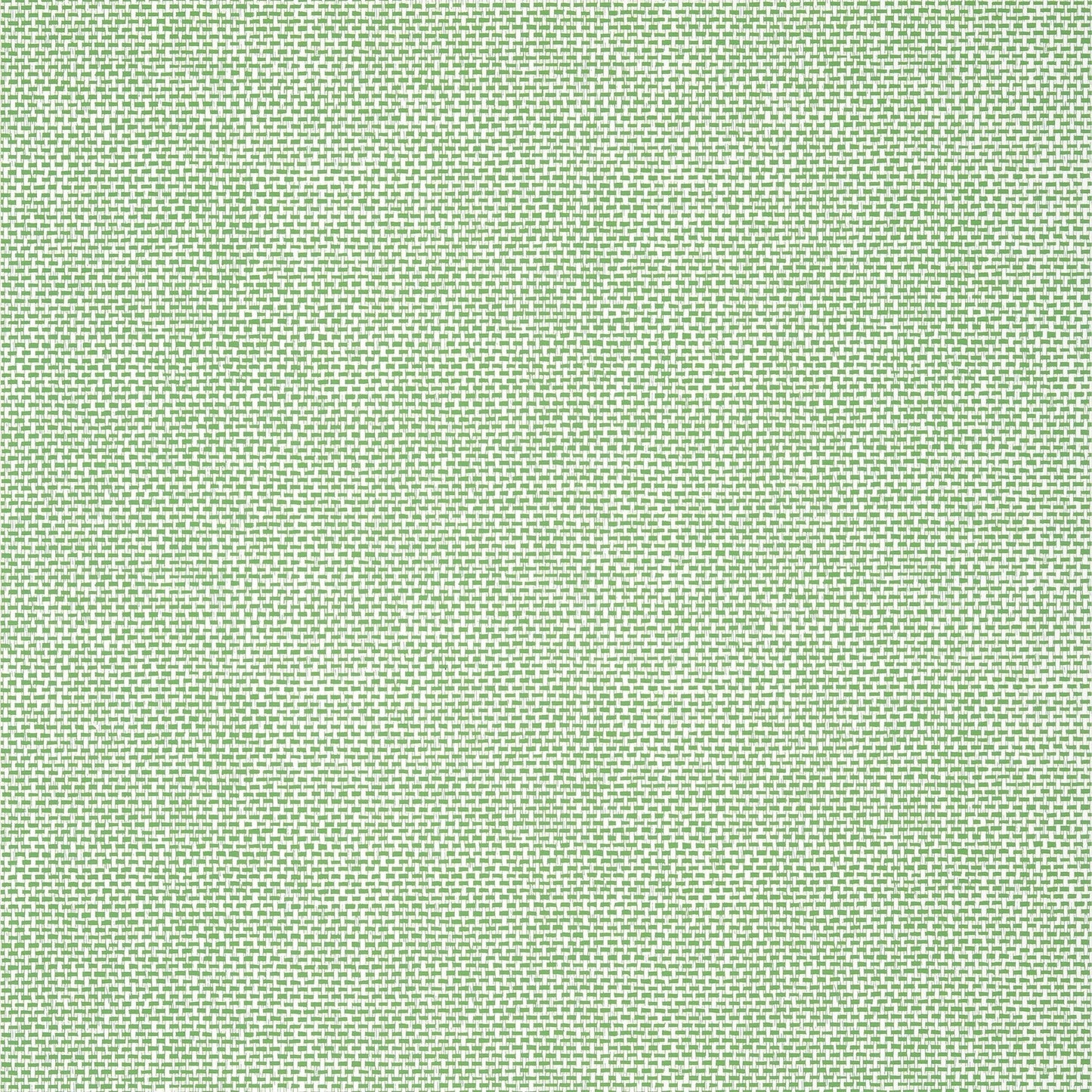 Palawan Wallpaper - Green - Thibaut - T16261 - Premier Wallcovering