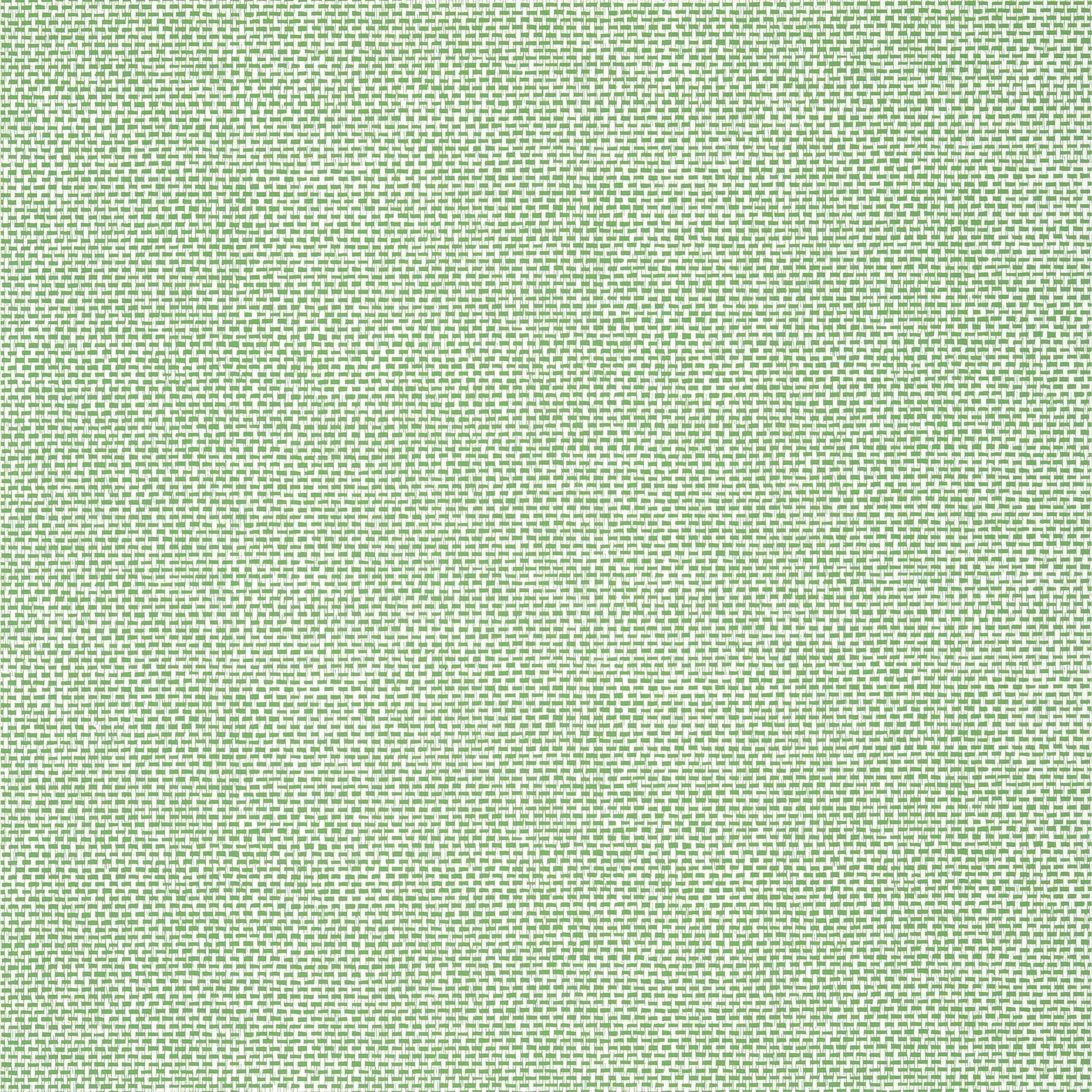Palawan Wallpaper - Green - Thibaut - T16261 - Premier Wallcovering