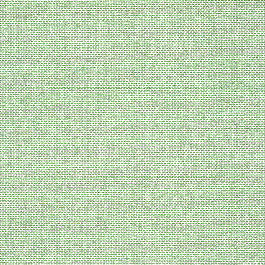 Palawan Wallpaper - Green - Thibaut - T16261 - Premier Wallcovering