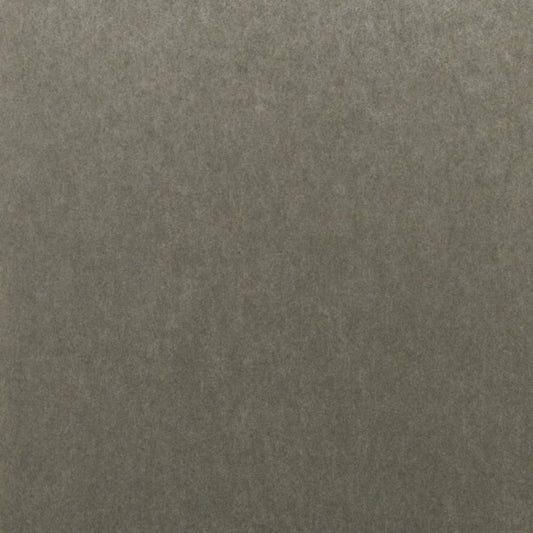 Palazzo Concrete Texture Wallpaper - Grey - Omexco - PAL4059 - Premier Wallcovering