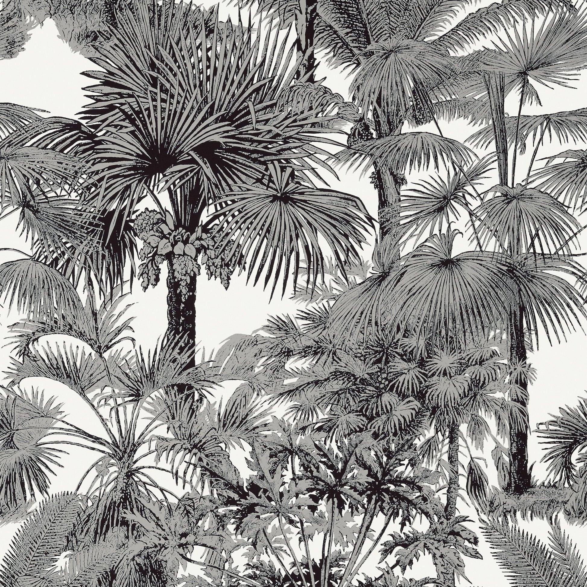 Palm Botanical Wallpaper - Black - Thibaut - T10102 - Premier Wallcovering