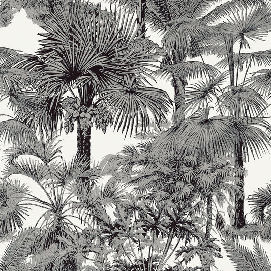 Palm Botanical Wallpaper - Black - Thibaut - T10102 - Premier Wallcovering