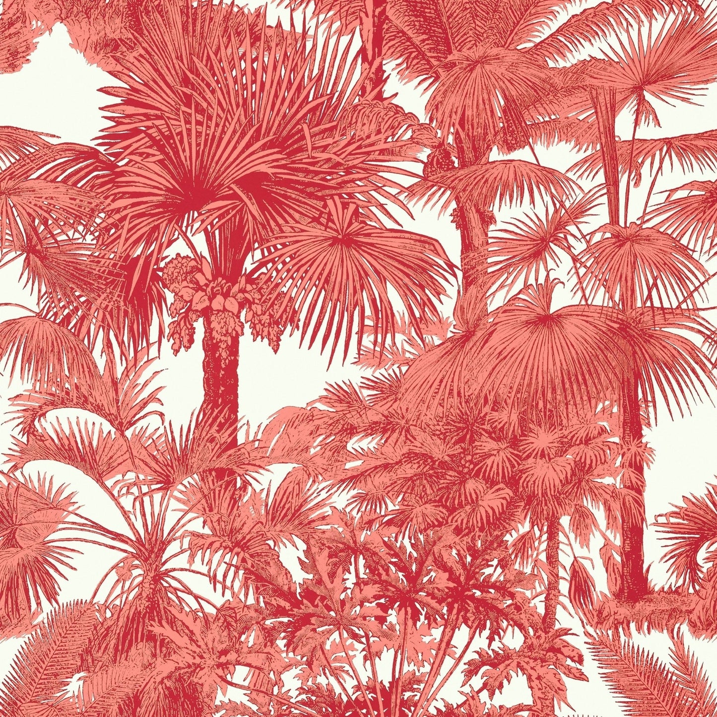 Palm Botanical Wallpaper - Coral - Thibaut - T10105 - Premier Wallcovering