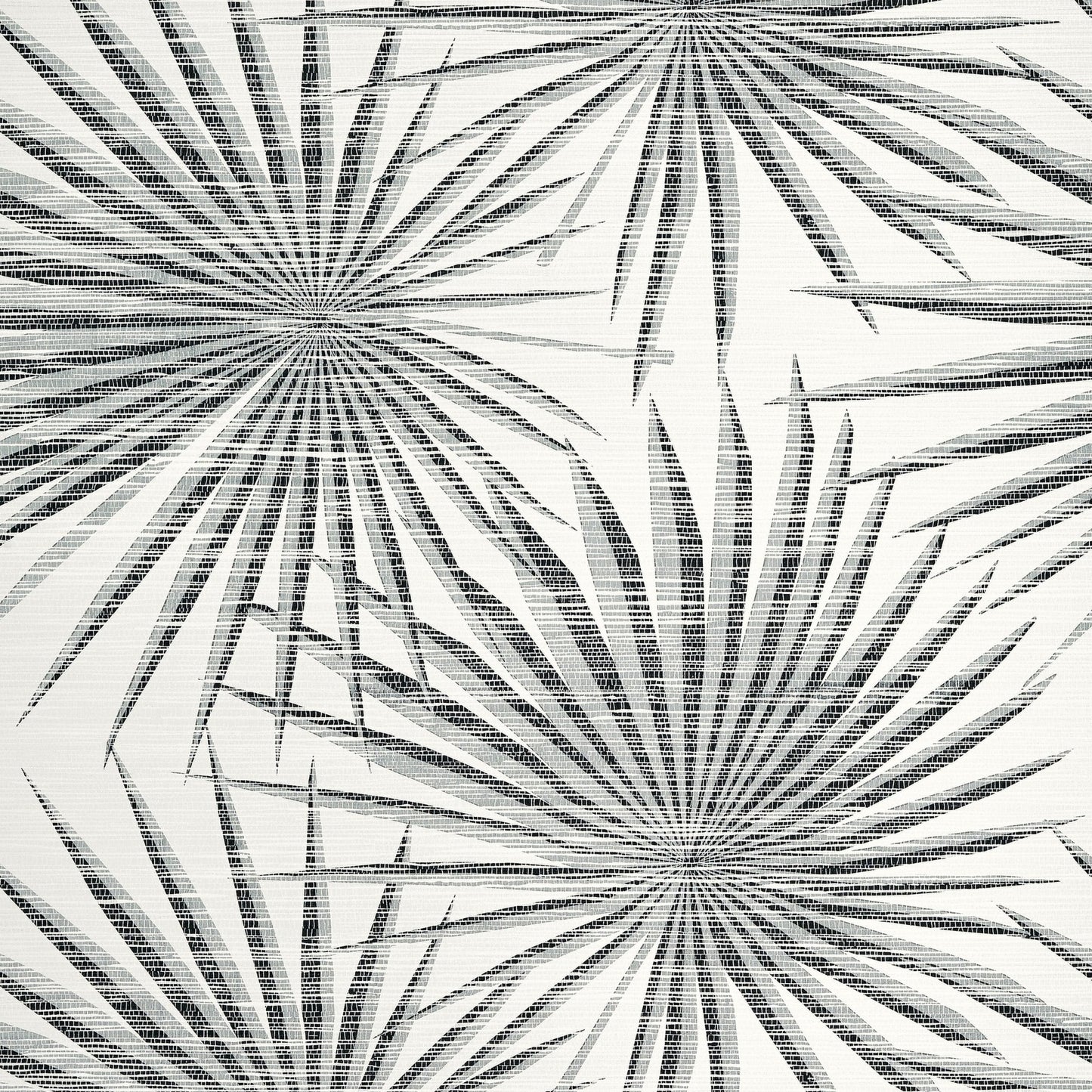 Palm Frond Wallpaper - Black & White - Thibaut - T10145 - Premier Wallcovering