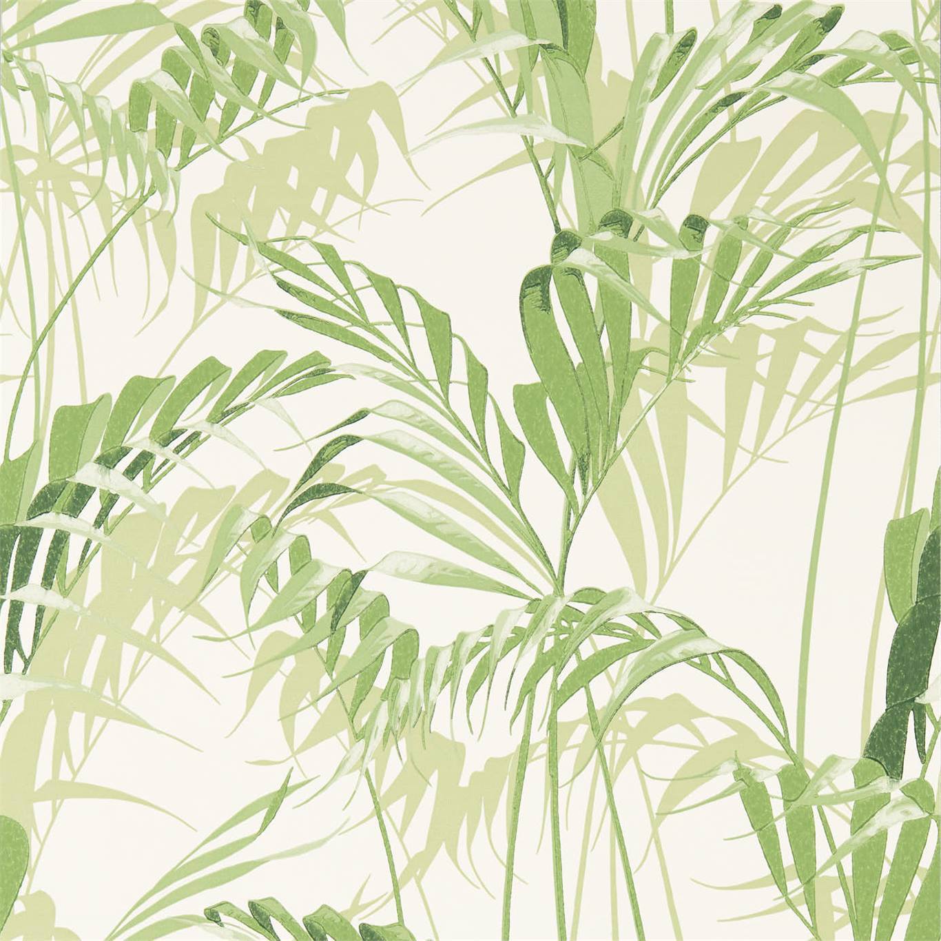 Palm House Wallpaper - Botanical Green - Sanderson - DGLW216643 - Premier Wallcovering