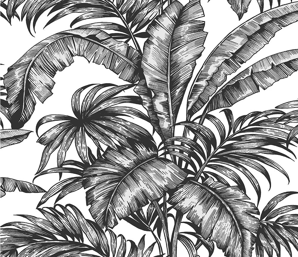 Palm Wallpaper - Black/White - NextWall - NW40400 - Premier Wallcovering