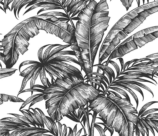 Palm Wallpaper - Black/White - NextWall - NW40400 - Premier Wallcovering