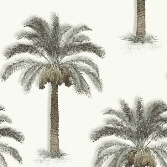 Palm Trees Wallpaper - Beige - SK Filson - SK10020 - Premier Wallcovering