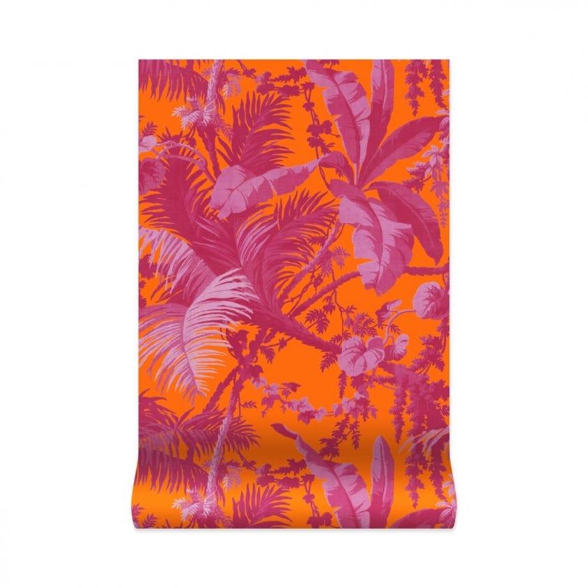 Pampas Wallpaper - Tangerine & Azalea - House of Hackney - 1 - WA - PAM - DI - TAN - XXX - Premier Wallcovering