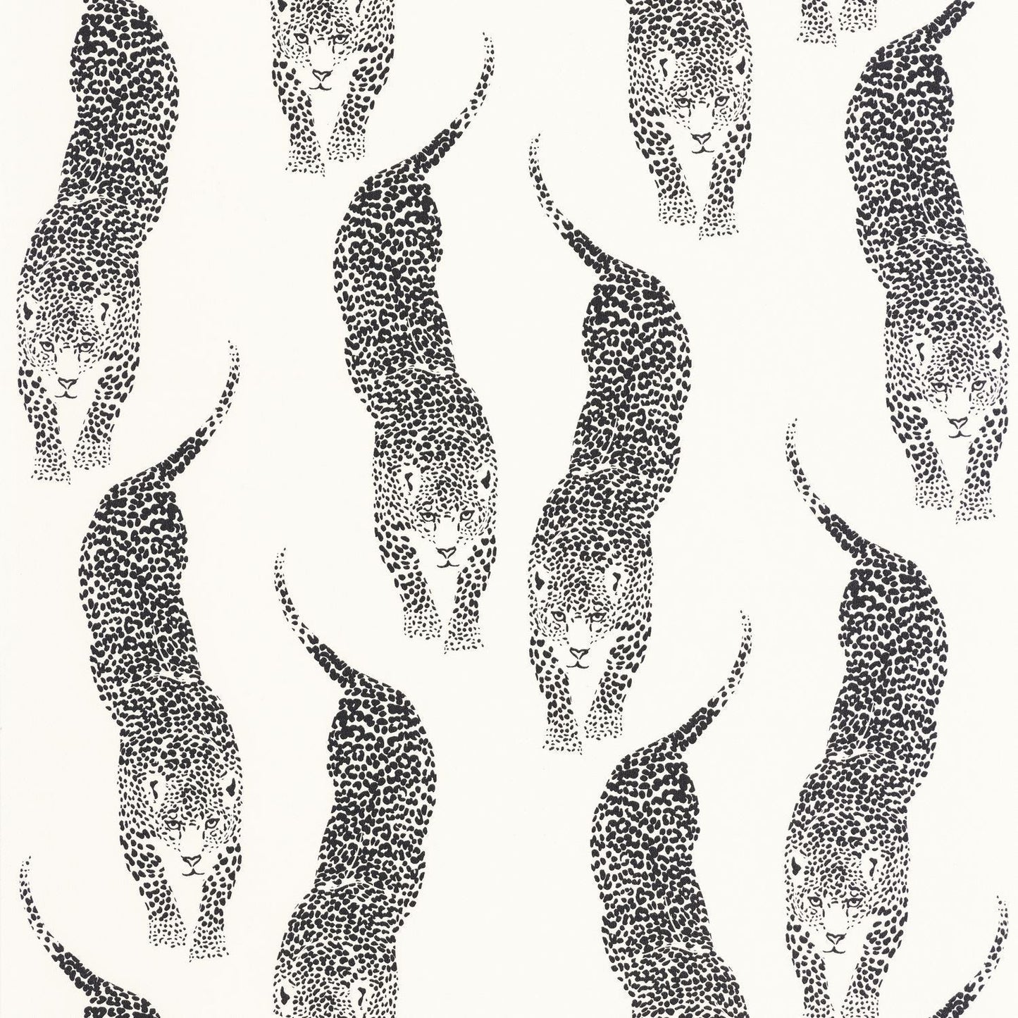 Panthera Wallpaper - Blanc Noir - Caselio - 104920995 - Premier Wallcovering