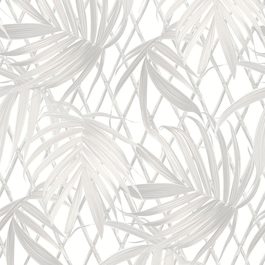 Paradise Palm Vasari Wallpaper - Neutral - Rasch - 539530 - Premier Wallcovering
