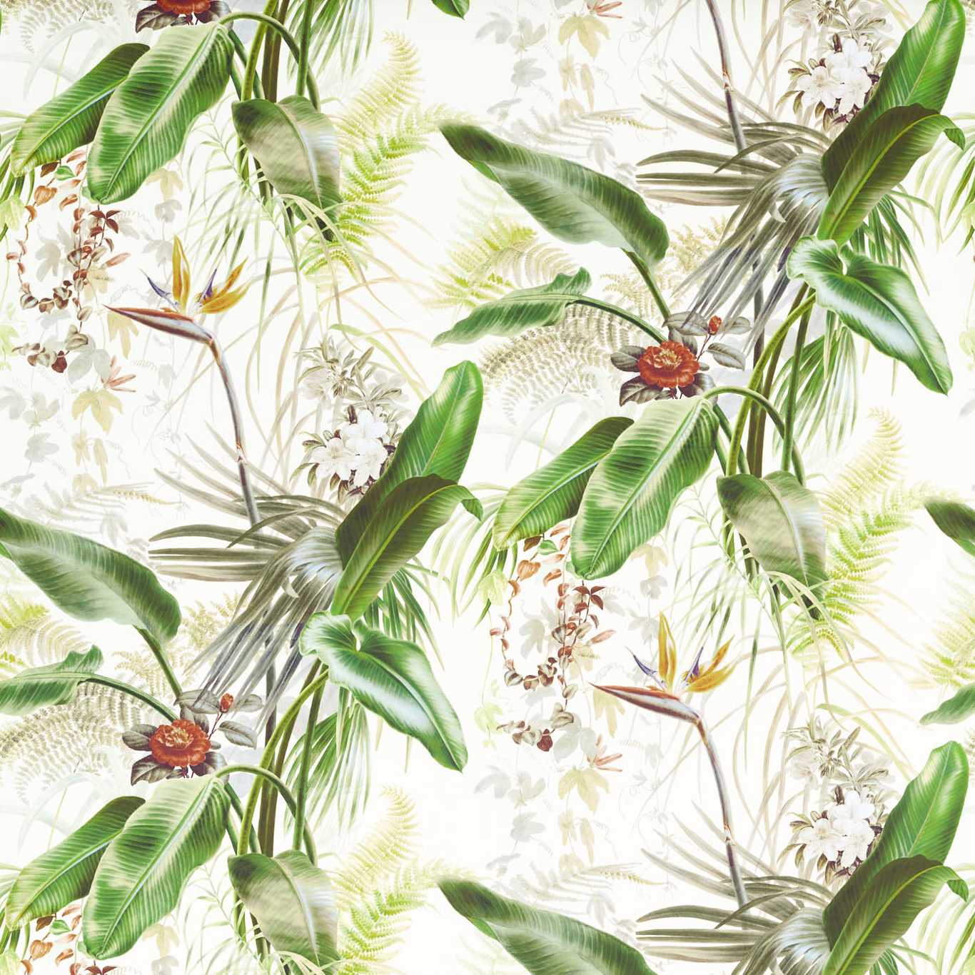 Paradise Row Wallpaper - Evergreen - ZHIW312989 - Zoffany - Premier Wallcovering