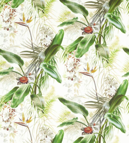 Paradise Row Wallpaper - Evergreen - ZHIW312989 - Zoffany - Premier Wallcovering