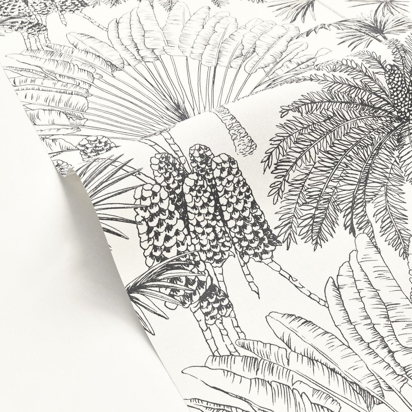 Paradisia Wallpaper - Blanc Noir - Caselio - 104330956 - Premier Wallcovering