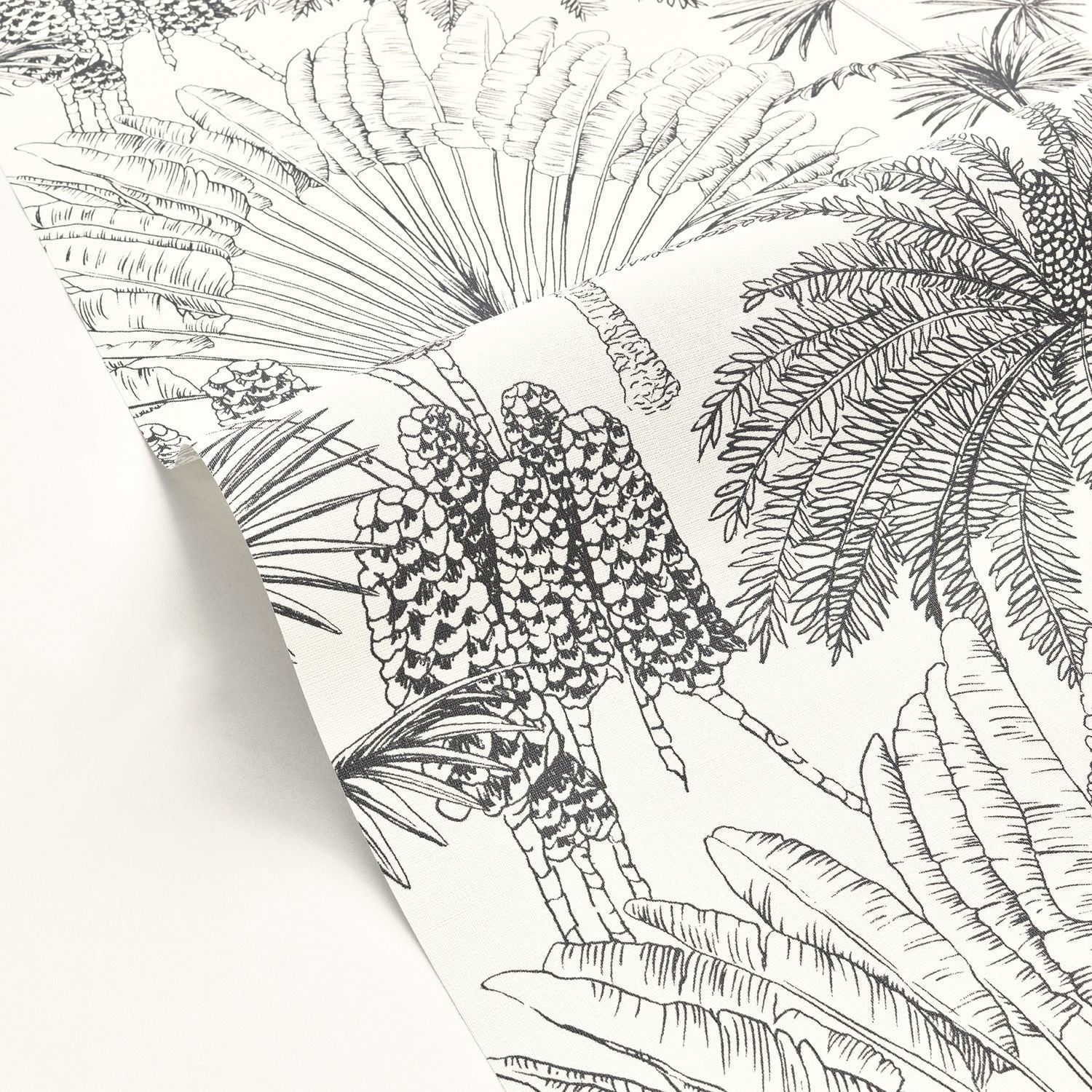 Paradisia Wallpaper - Blanc Noir - Caselio - 104330956 - Premier Wallcovering