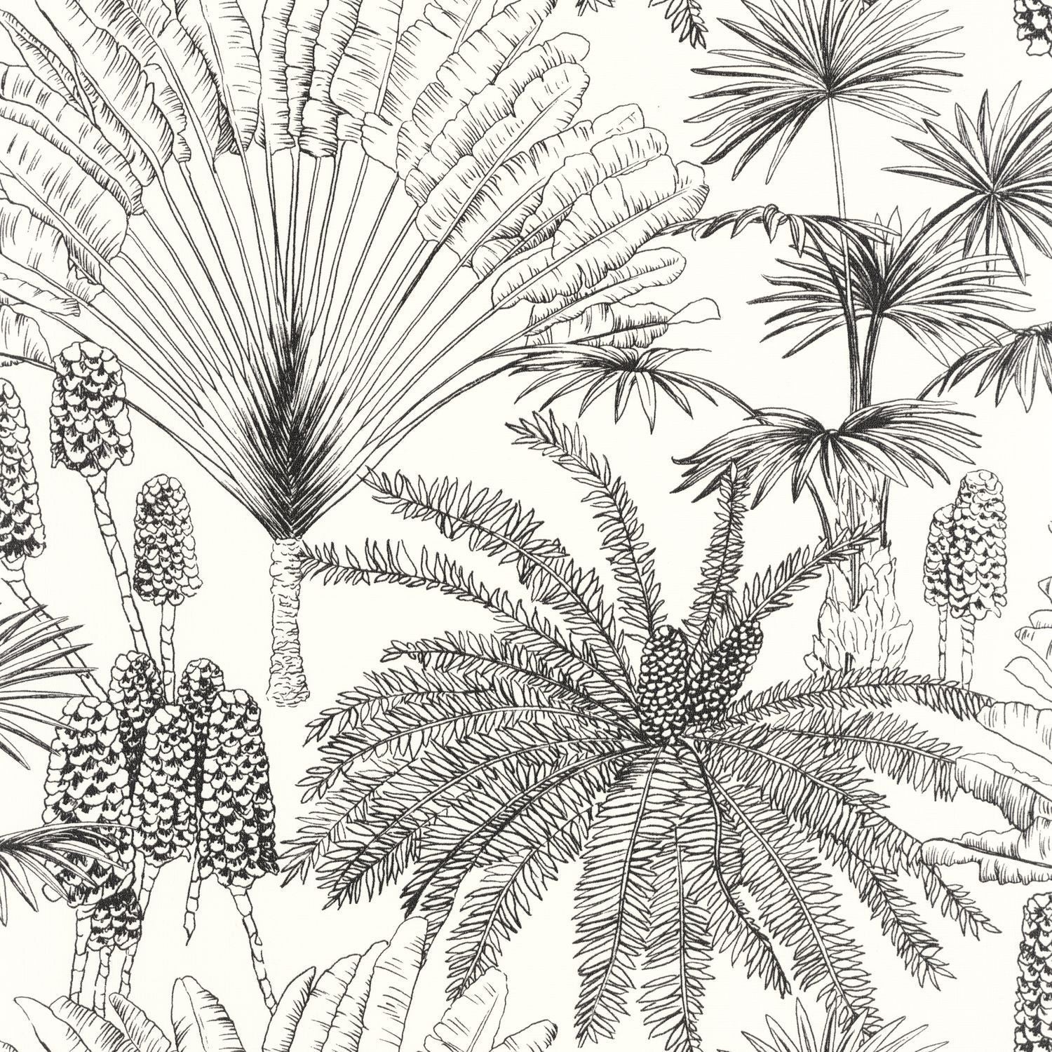 Paradisia Wallpaper - Blanc Noir - Caselio - 104330956 - Premier Wallcovering