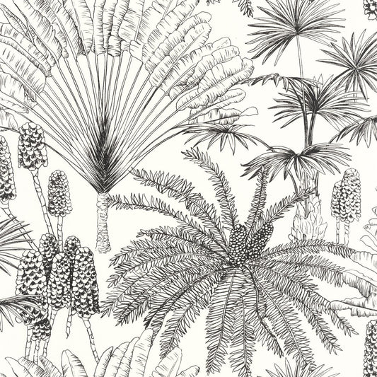 Paradisia Wallpaper - Blanc Noir - Caselio - 104330956 - Premier Wallcovering