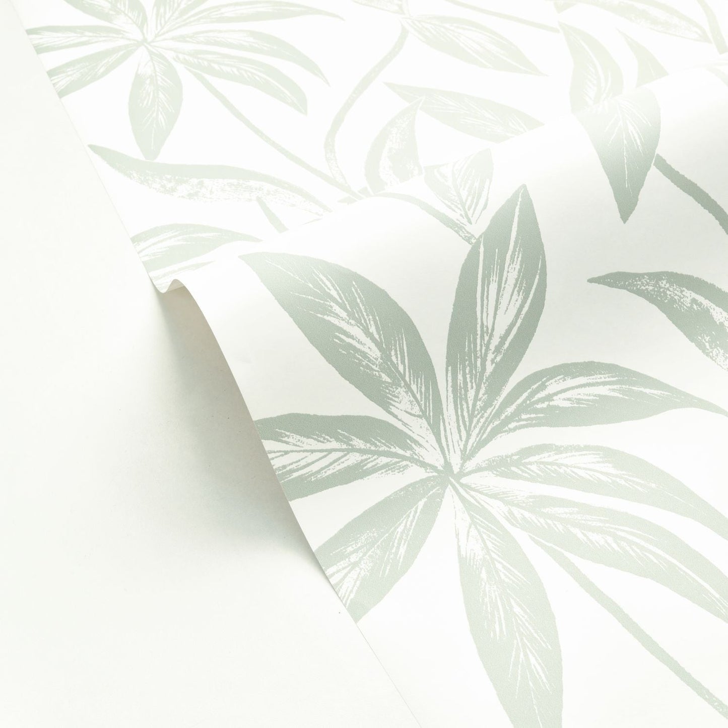 Paradisio Wallpaper - Vert D'eau - Caselio - 103707070 - Premier Wallcovering