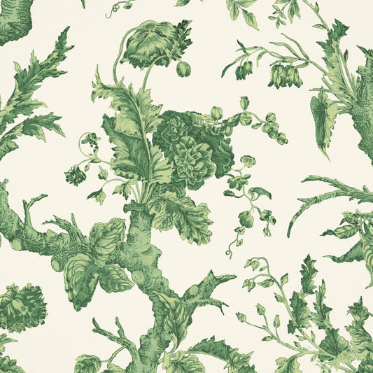 Paradiso Wallpaper - Amazon - Warner House - Premier Wallcovering