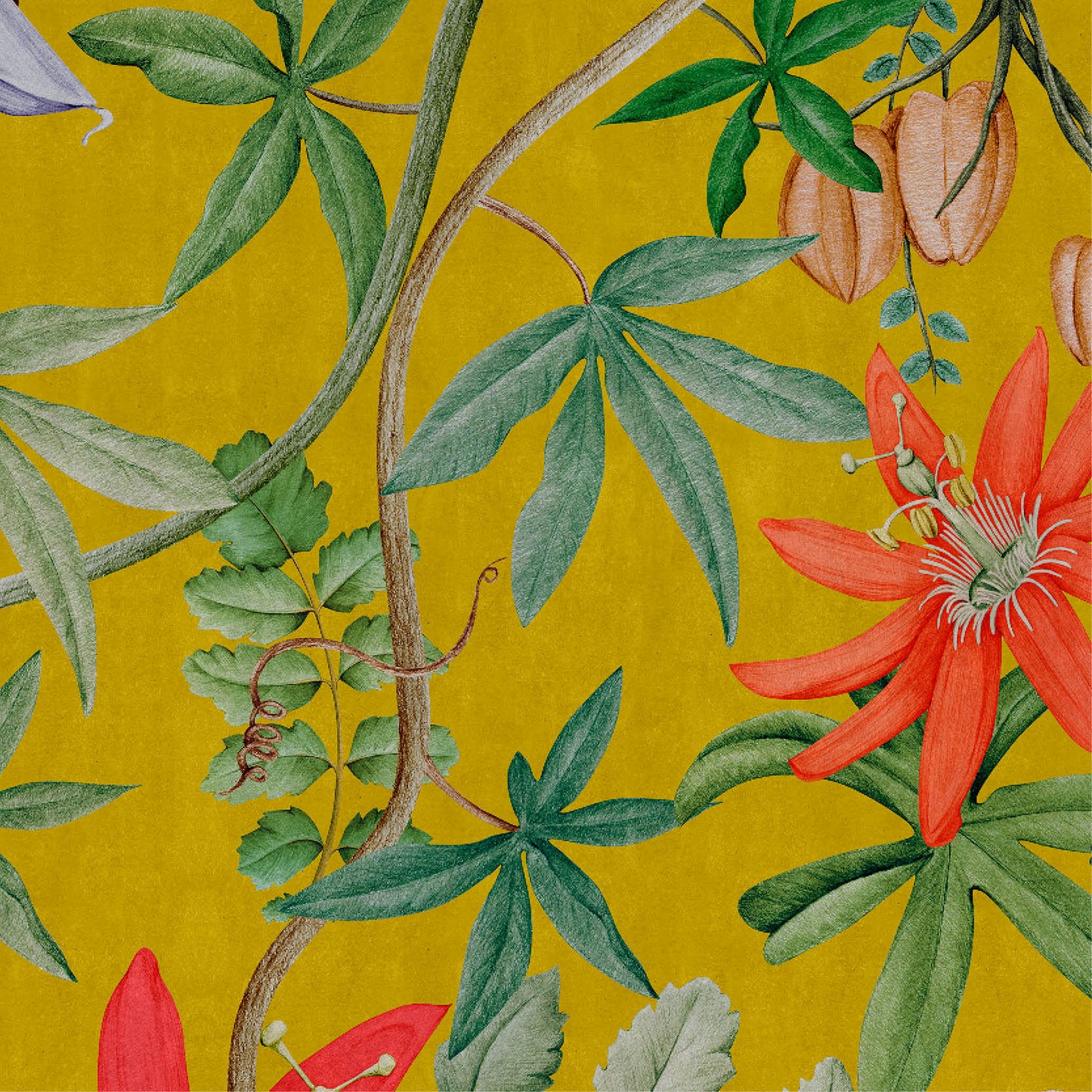 Passiflora Wall Mural - Yellow - NLXL - UON - 13 - Premier Wallcovering