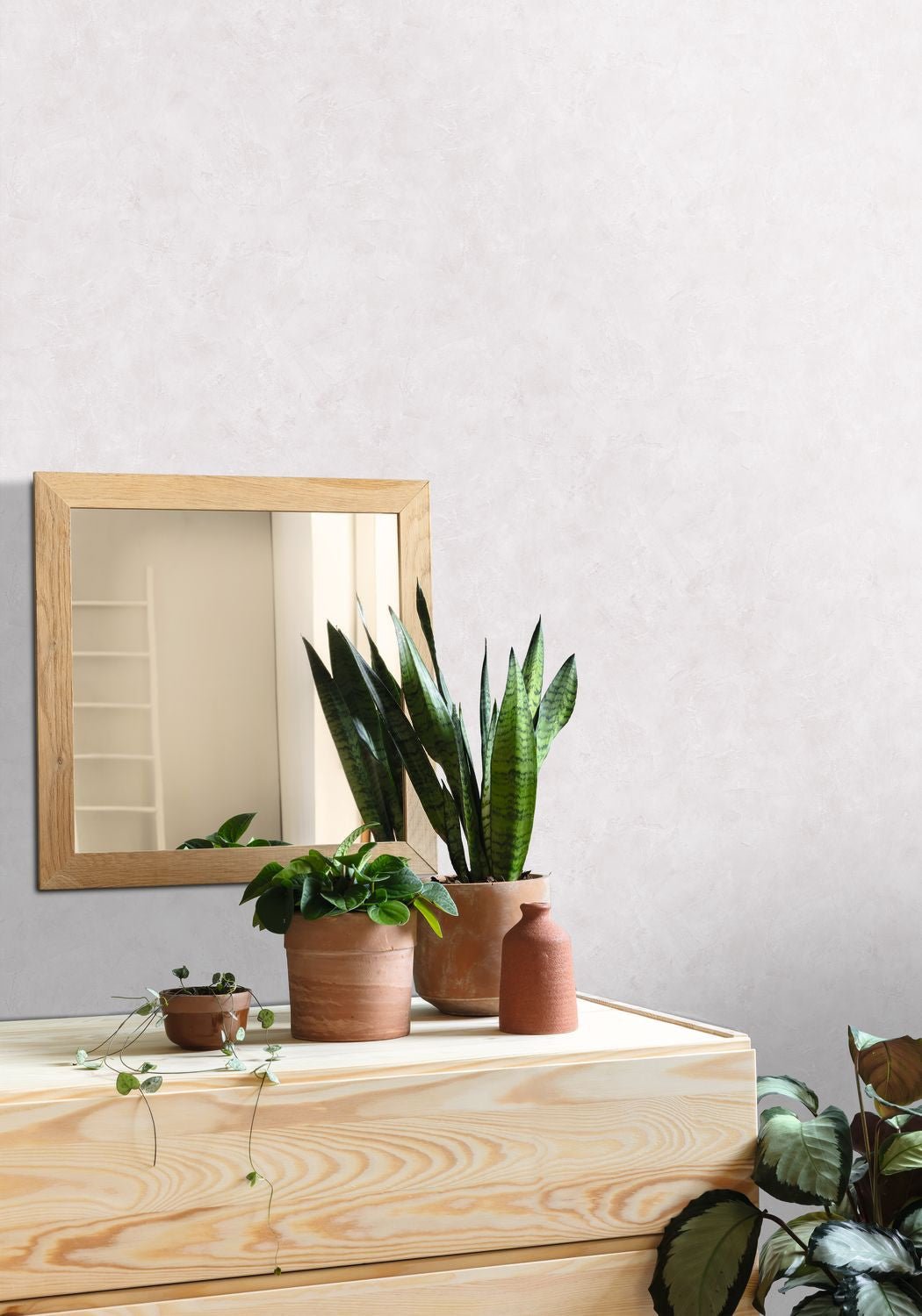 Patine Uni Wallpaper - Calcaire - Caselio - 100220360 - Premier Wallcovering