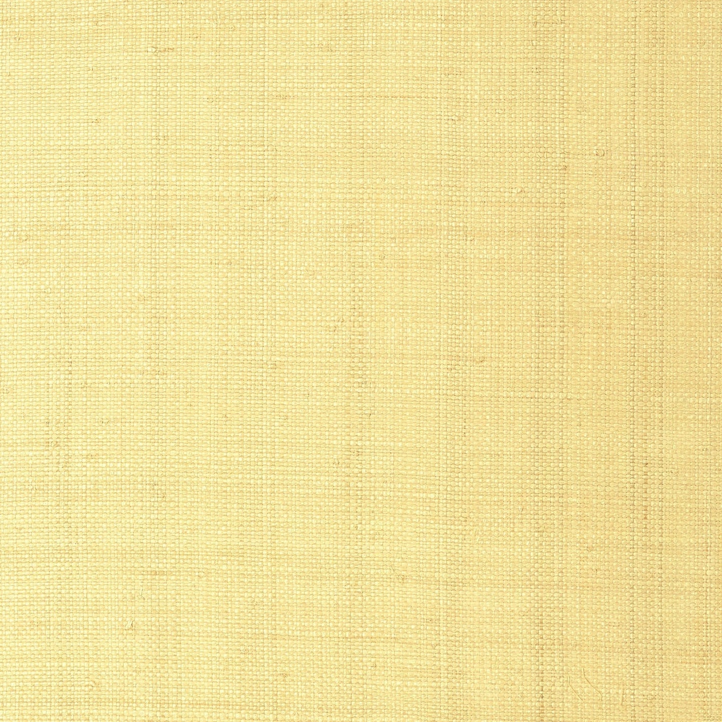 Pearl Bay Wallpaper - Straw - Thibaut - T41108 - Premier Wallcovering