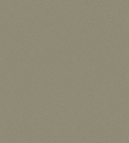 Pebble Wallpaper - Linen - 106/2020 - Cole & Son - Premier Wallcovering