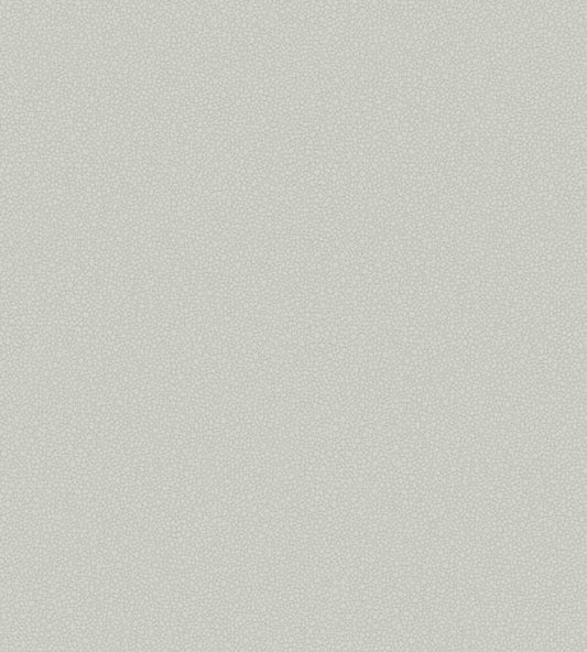 Pebble Wallpaper - Grey - 106/2017 - Cole & Son - Premier Wallcovering