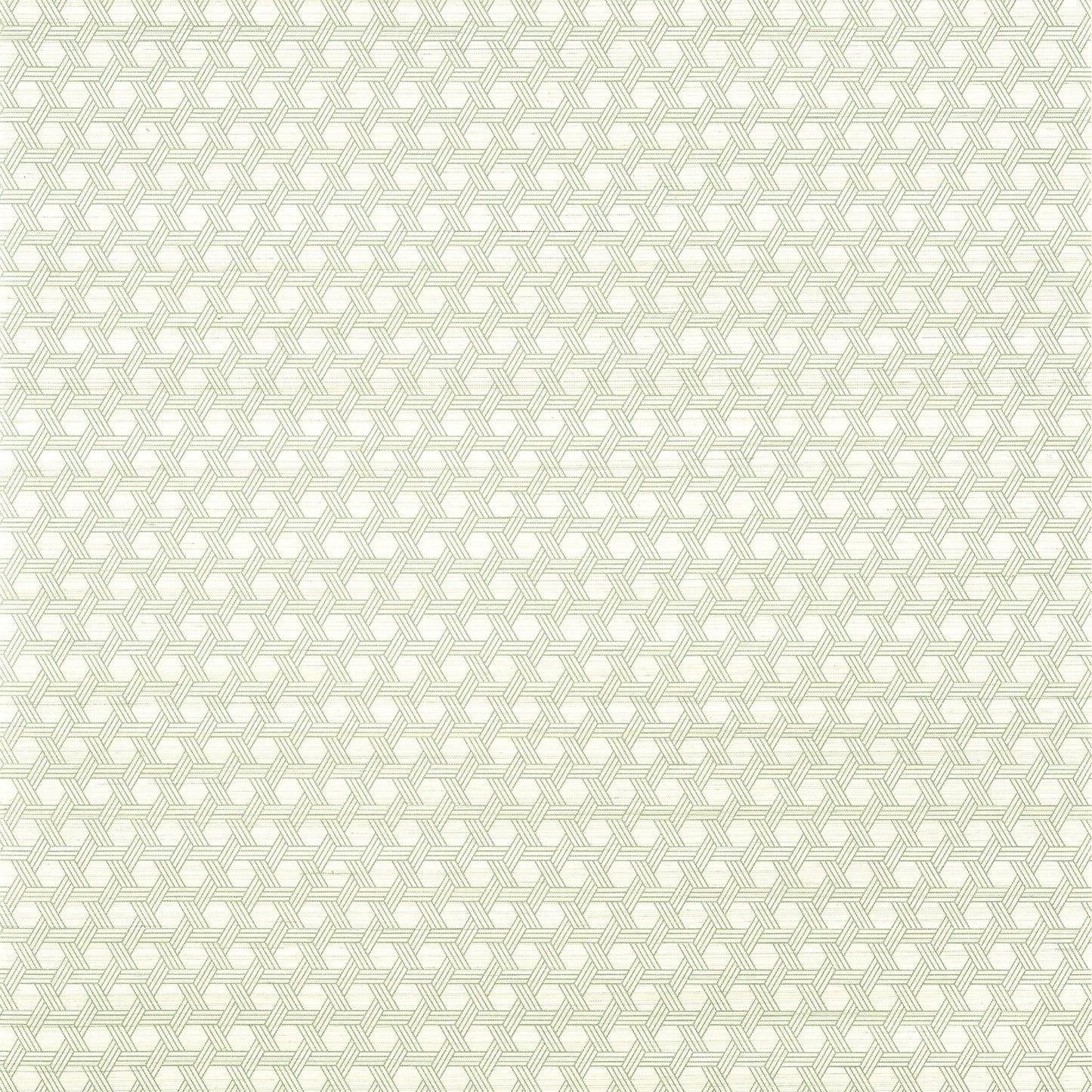 Pergola Wallpaper - Green - Thibaut - T12809 - Premier Wallcovering