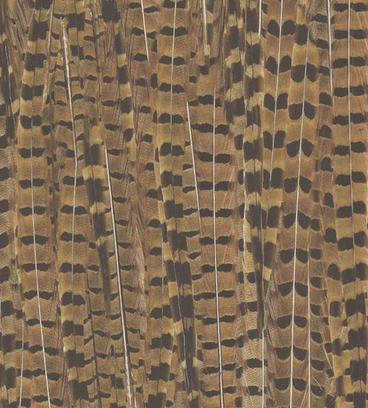Pheasant Fabric - Brown - Woodchip & Magnolia - WMF - 080 - 01VD - Premier Wallcovering
