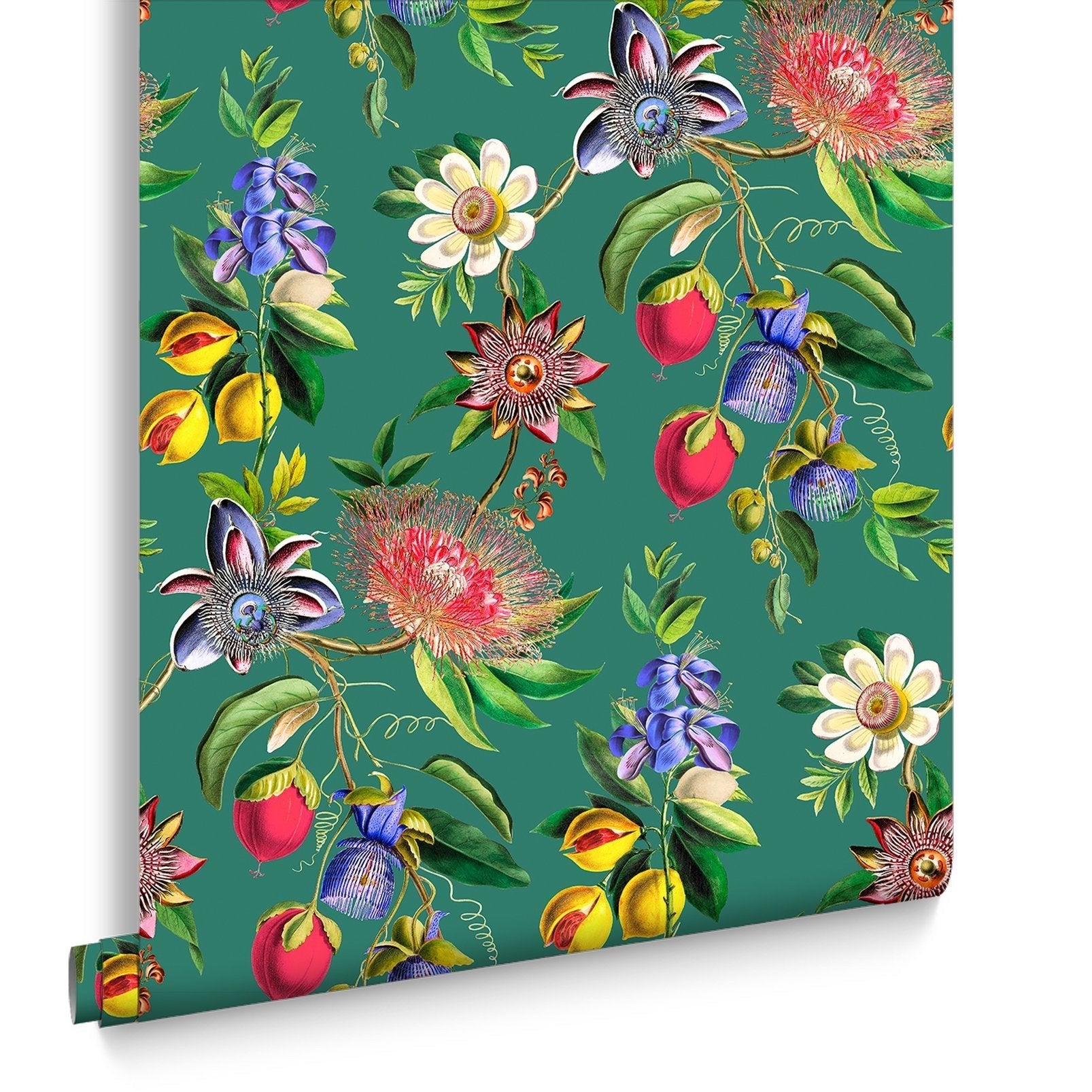 Physic Garden Wallpaper - Teal - Graham & Brown - 127918 - Premier Wallcovering