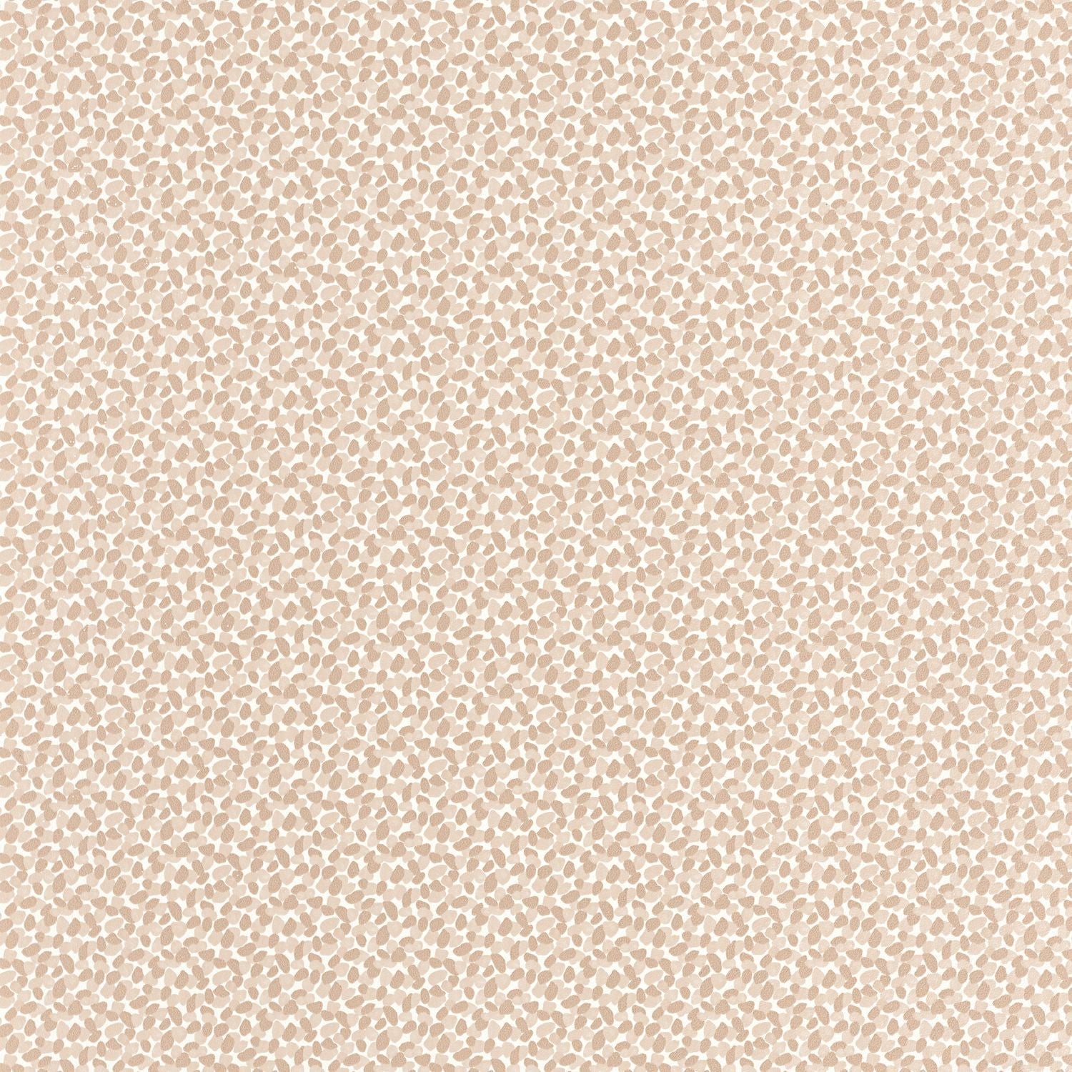 Physis Wallpaper - Sable - Caselio - 103651018 - Premier Wallcovering