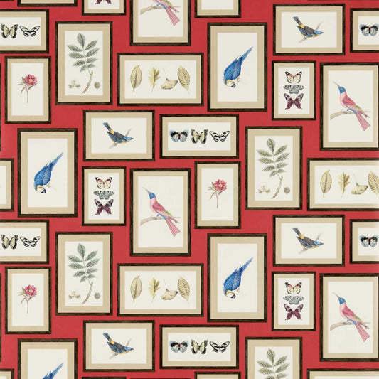 Picture Gallery Wallpaper - Red/Multi - DVOY213398 - Sanderson - Premier Wallcovering