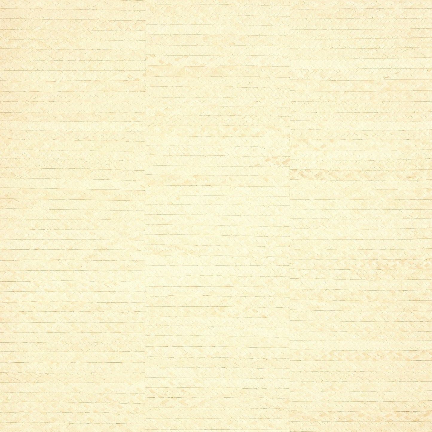 Pima Braid Wallpaper - Natural - Thibaut - T27043 - Premier Wallcovering