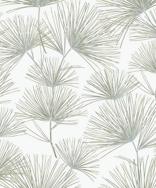 Pine Needles Wallpaper - Aloe Green - NextWall - NW52104 - Premier Wallcovering