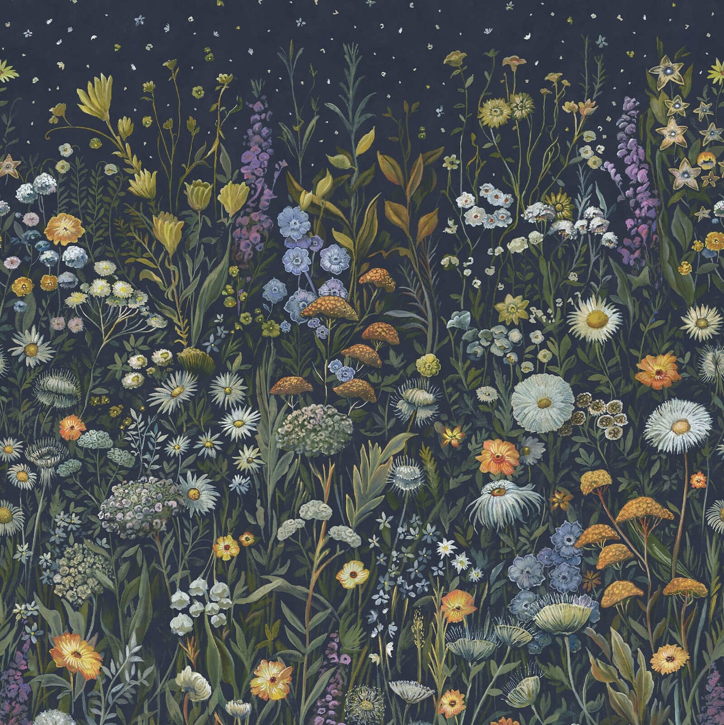 Prataria Wallpaper - House of Hackney - 1 - WA - PRT - DI - GAX - XXX - Premier Wallcovering