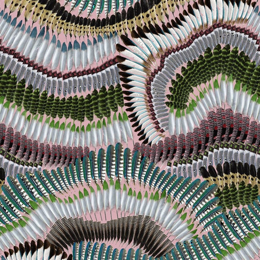 Prête Moi Ta Plume! Wallpaper - Bourgeon - Christian Lacroix - PCL7033/02 - Premier Wallcovering